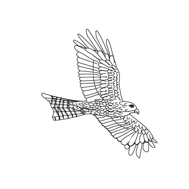 Coloring pages