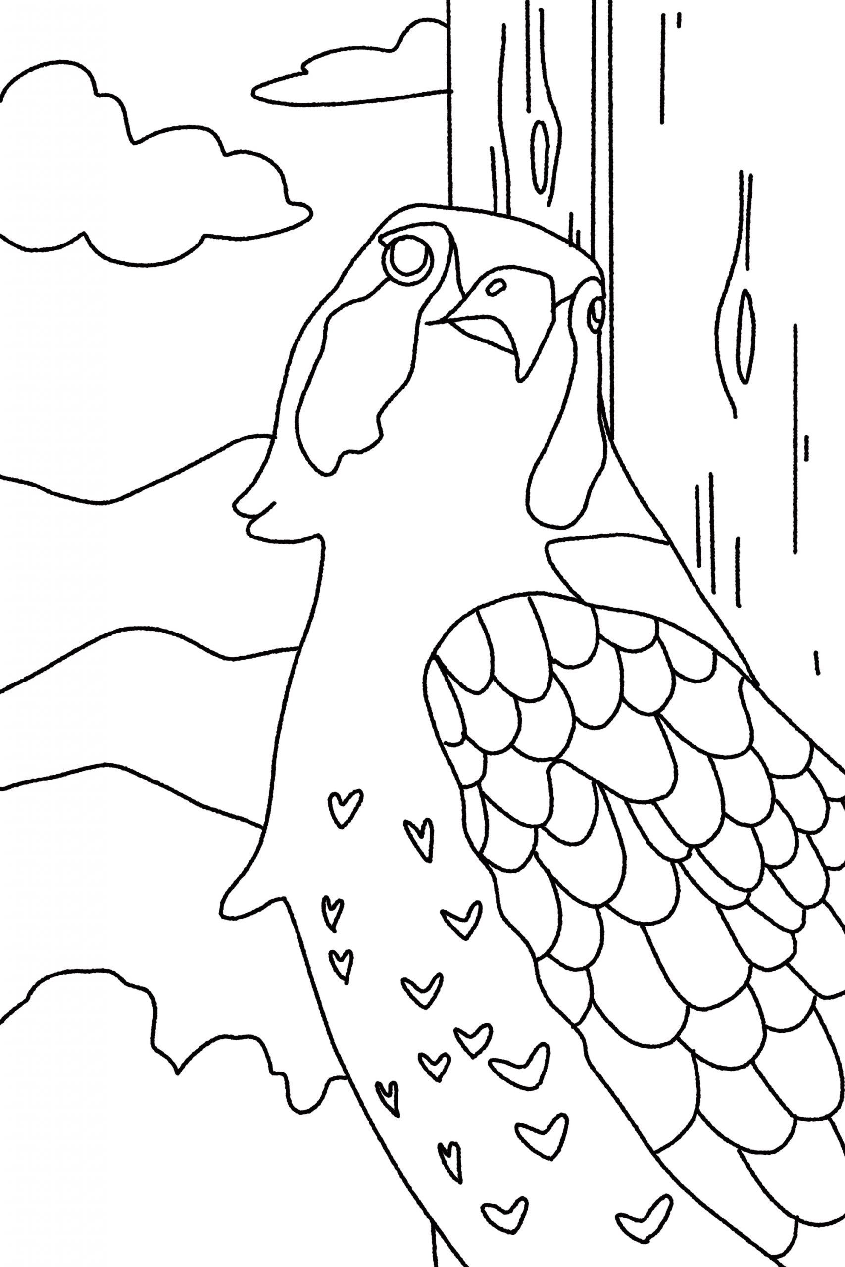 Activity sheets and articles â the amherst libraries falcon curriculum an open common core prek