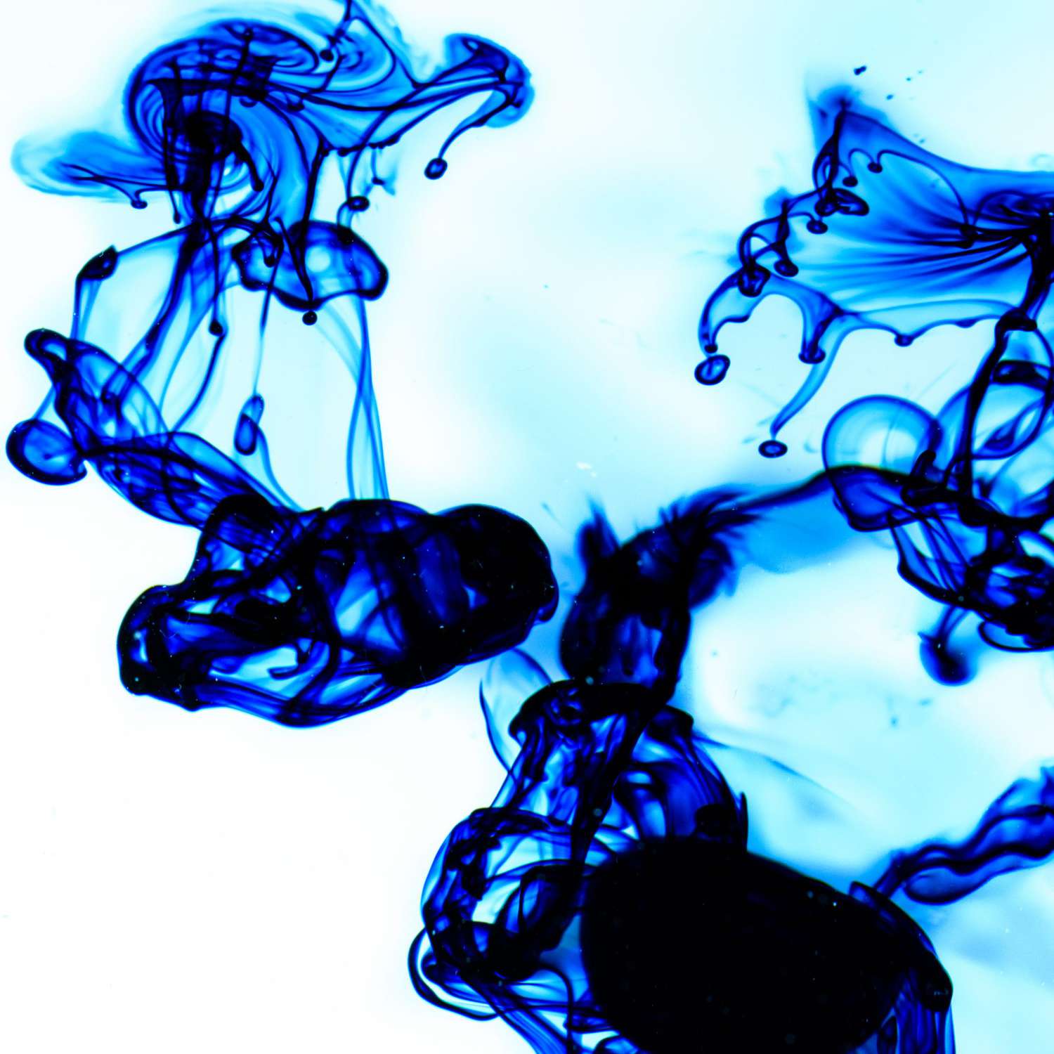 Whats in food coloring