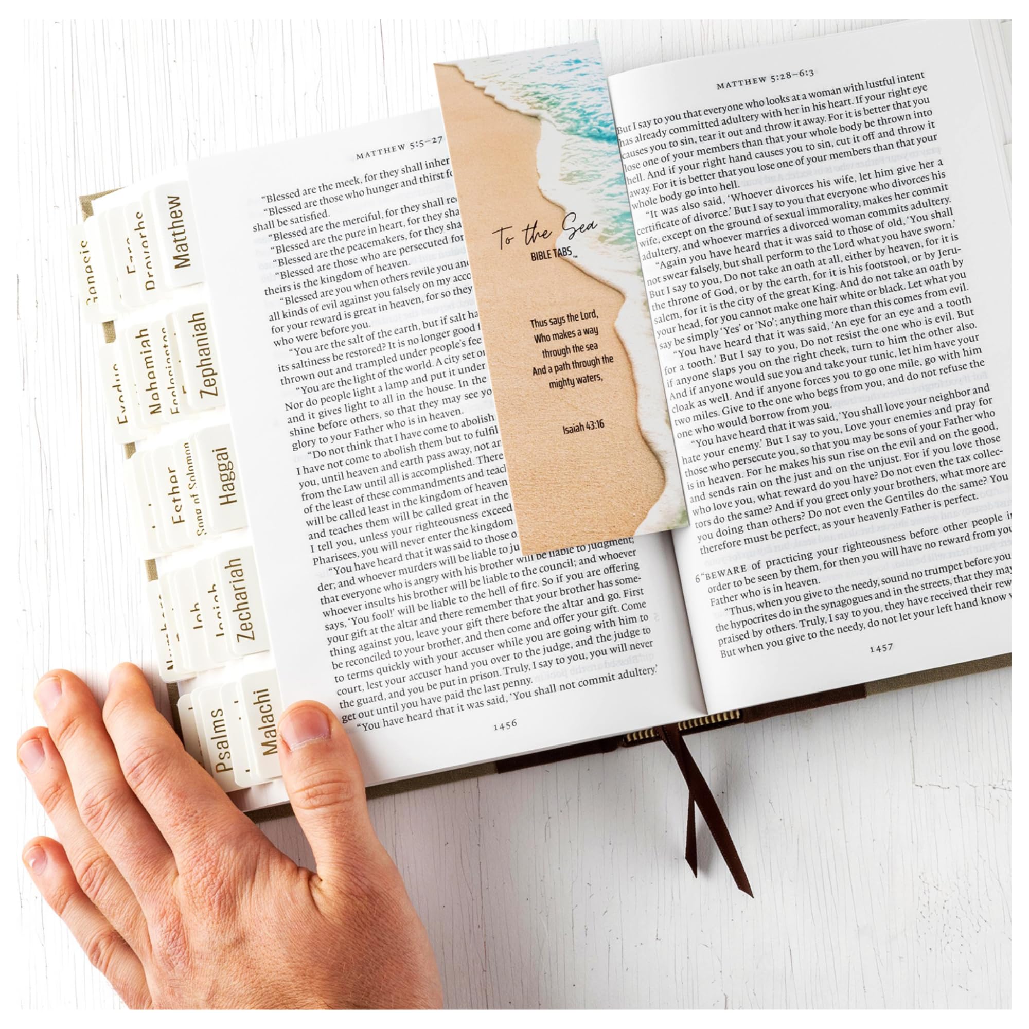 To the sea bible tabs para mujeres y hombres â pestaãas laminadas prãmium para libros de la biblia con etiquetado de lãmina de oro rosa para el antiguo y nuevo