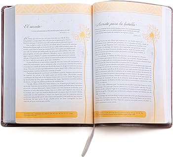 Santa biblia de promesas reina