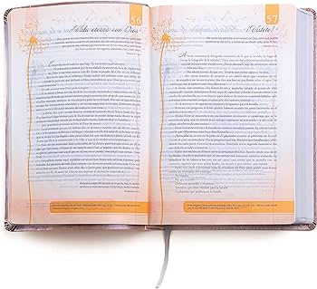 Santa biblia de promesas reina