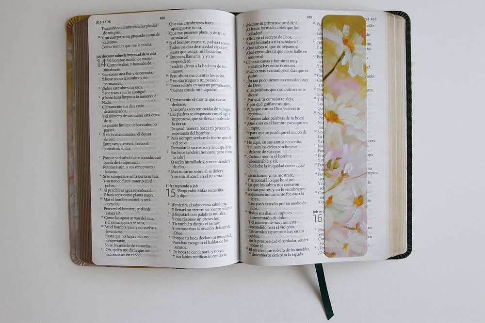 Biblia reina valera letra grande piel verde con flores tamaão manual sp anish bible rvr large print imitation green leather with flowers reina valera revisada books