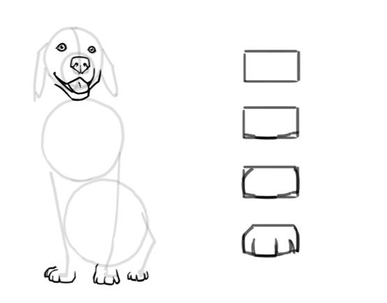 How to draw a dog step by step