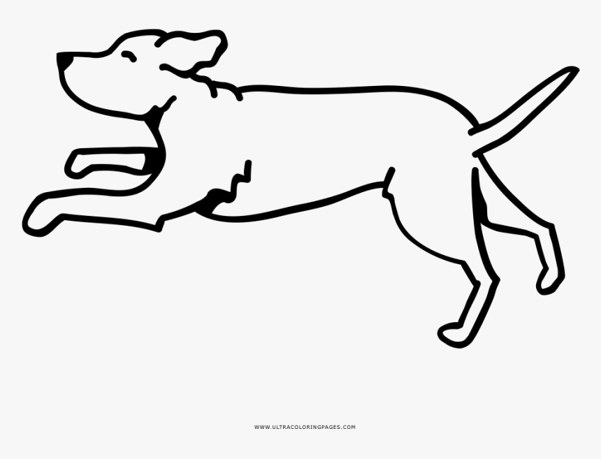Running dog coloring page