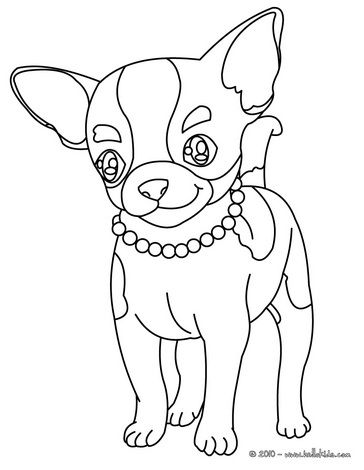 Adorable chihuahua coloring pages