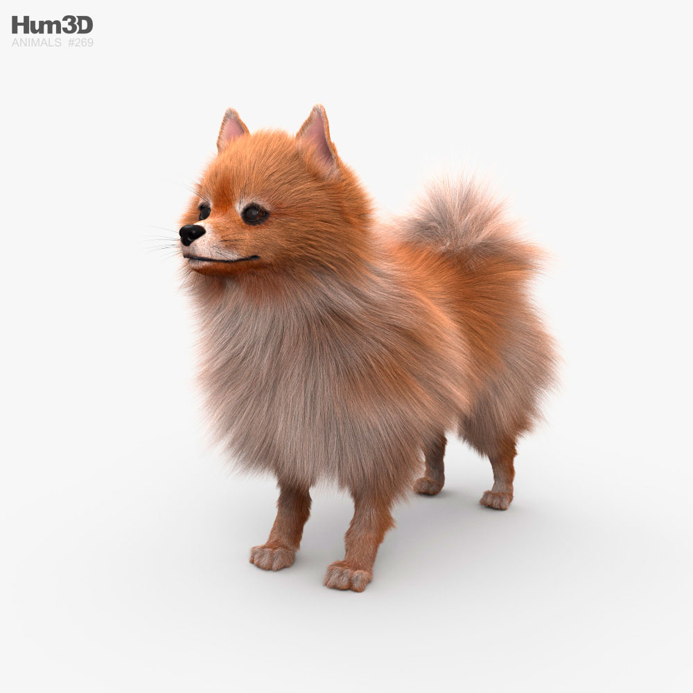Perro modelos d descargar