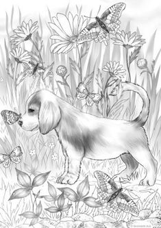 Friendly puppy printable adult coloring page from favoreads coloring book pages for adults and kids coloring sheets colouring designs