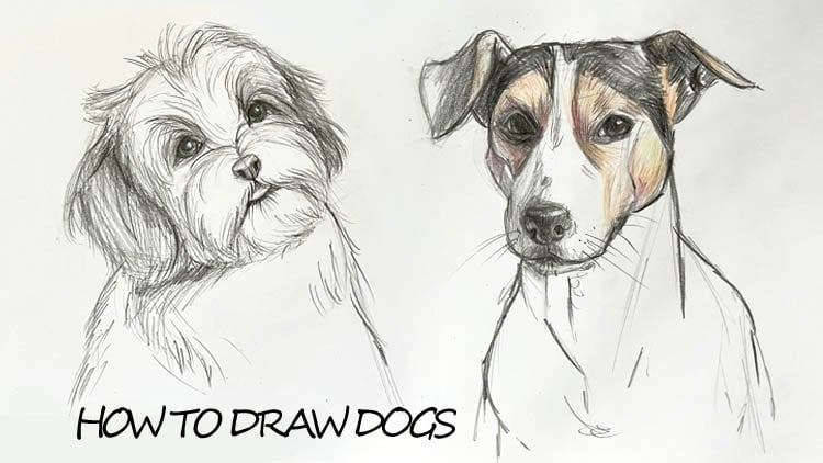La guãa definitiva de dibujar perros maria avramova