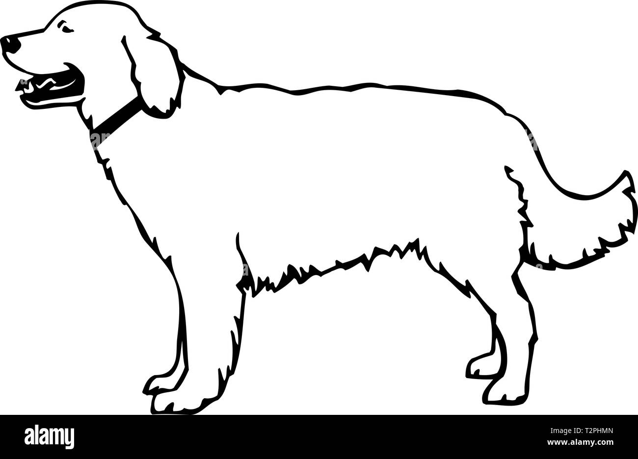 Ilustraciãn de perro perdiguero fotografãas e imãgen de alta roluciãn