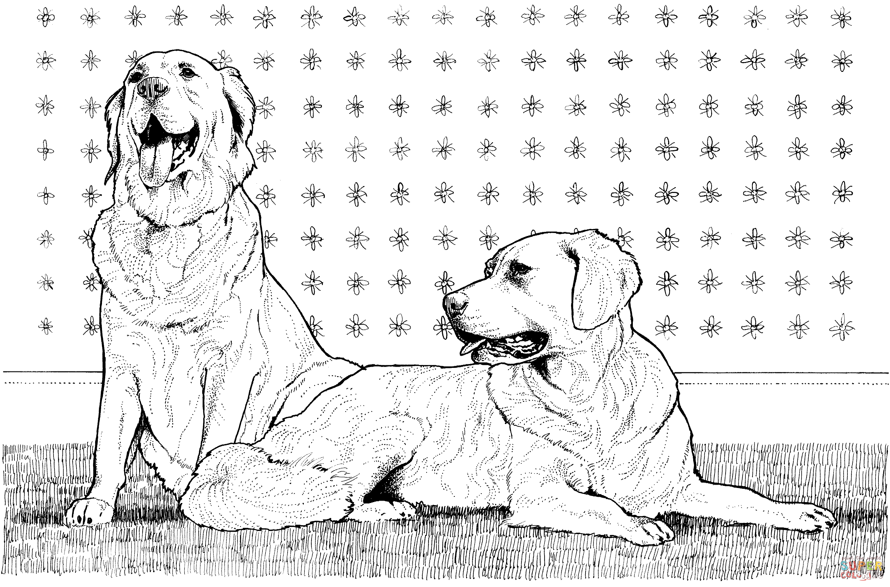Dibujo de dos golden retrievers para colorear dibujos para colorear imprimir gratis