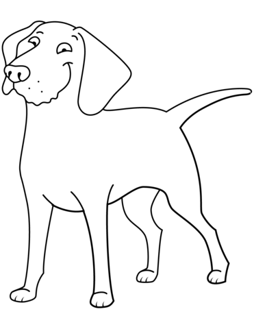 Dibujo de raza golden retriever para colorear dibujos para colorear imprimir gratis