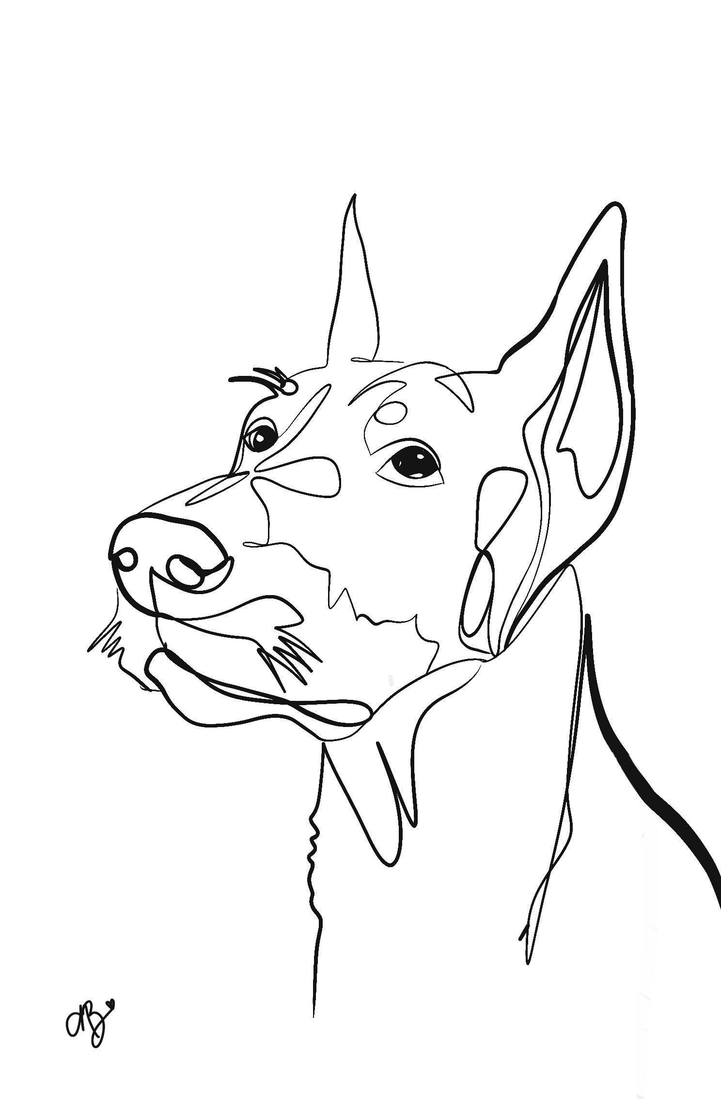 Retratos de animales de arte lineal ilustra mascotas usando arte de una lãnea en procreate attabeira german