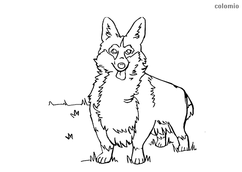 Dibujos de perros para colorear imãgen de perro para colorear