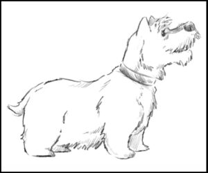 Perro de pie dibujo facil