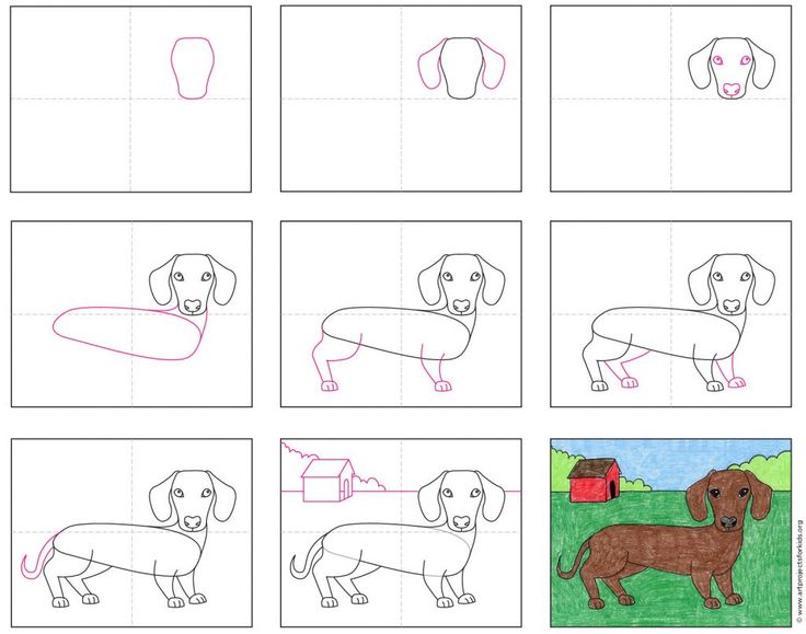 Easy how to draw a dachshund dog tutorial and dachshund dog coloring page dog t projects dog coloring page dachshund drawing