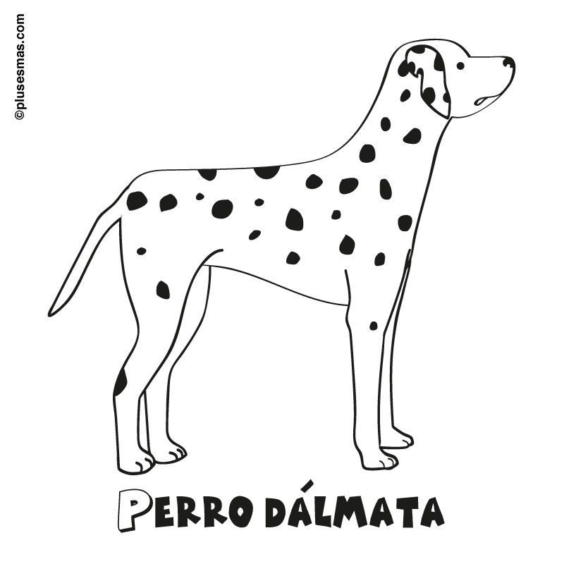 Colorear un perro dãlmata
