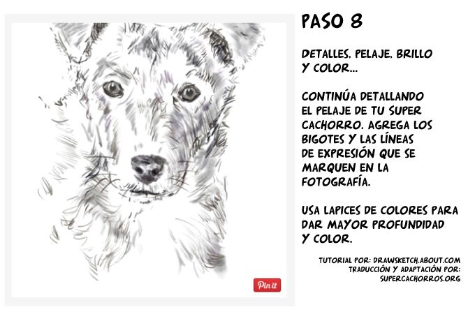 Boceto para dibujar perros