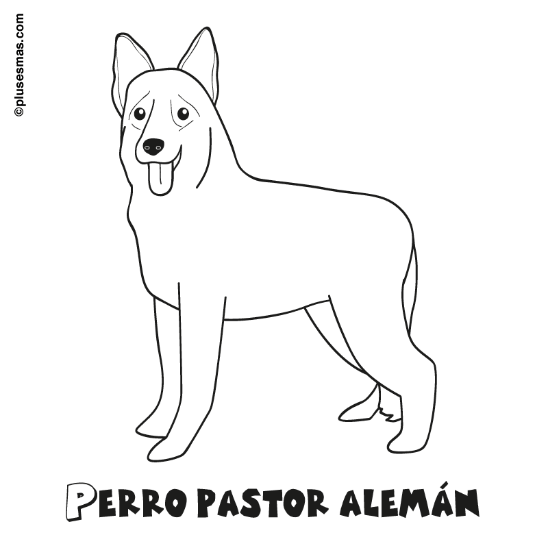 Colorear un perro pastor alemãn