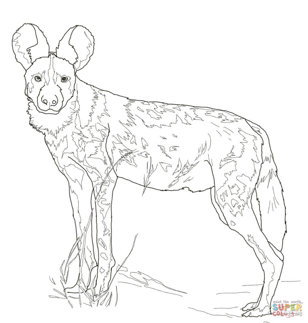 Dibujo de perro salvaje africano para colorear dibujos para colorear imprimir gratis