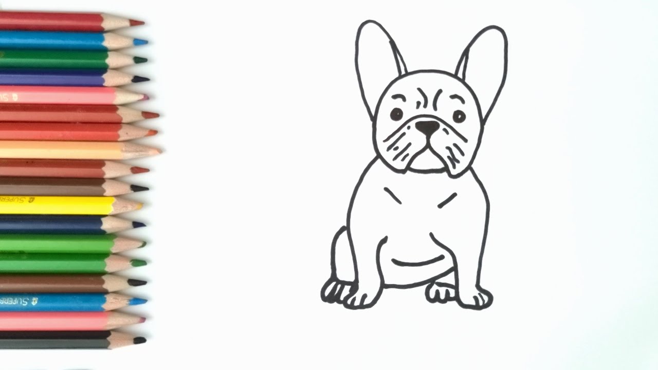 Cão dibujar un perro bulldog paso a paso