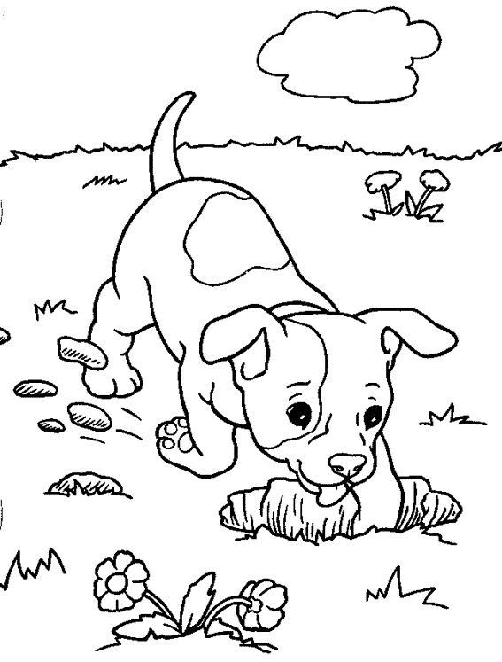 Coloriages