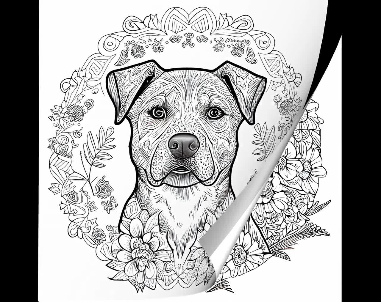 Perro mandala para colorear pãginas patrones asombrosos libro para colorear para adultos pãginas imprimibles para colorear digitales