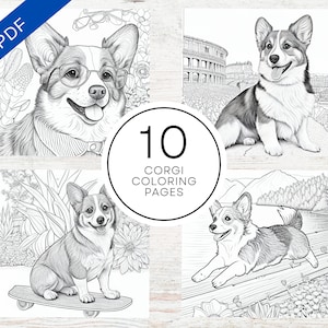 Corgi coloring dog