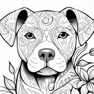 Pitbull coloring
