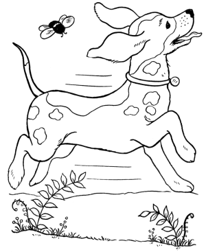 Perro para colorear pintar e imprimir