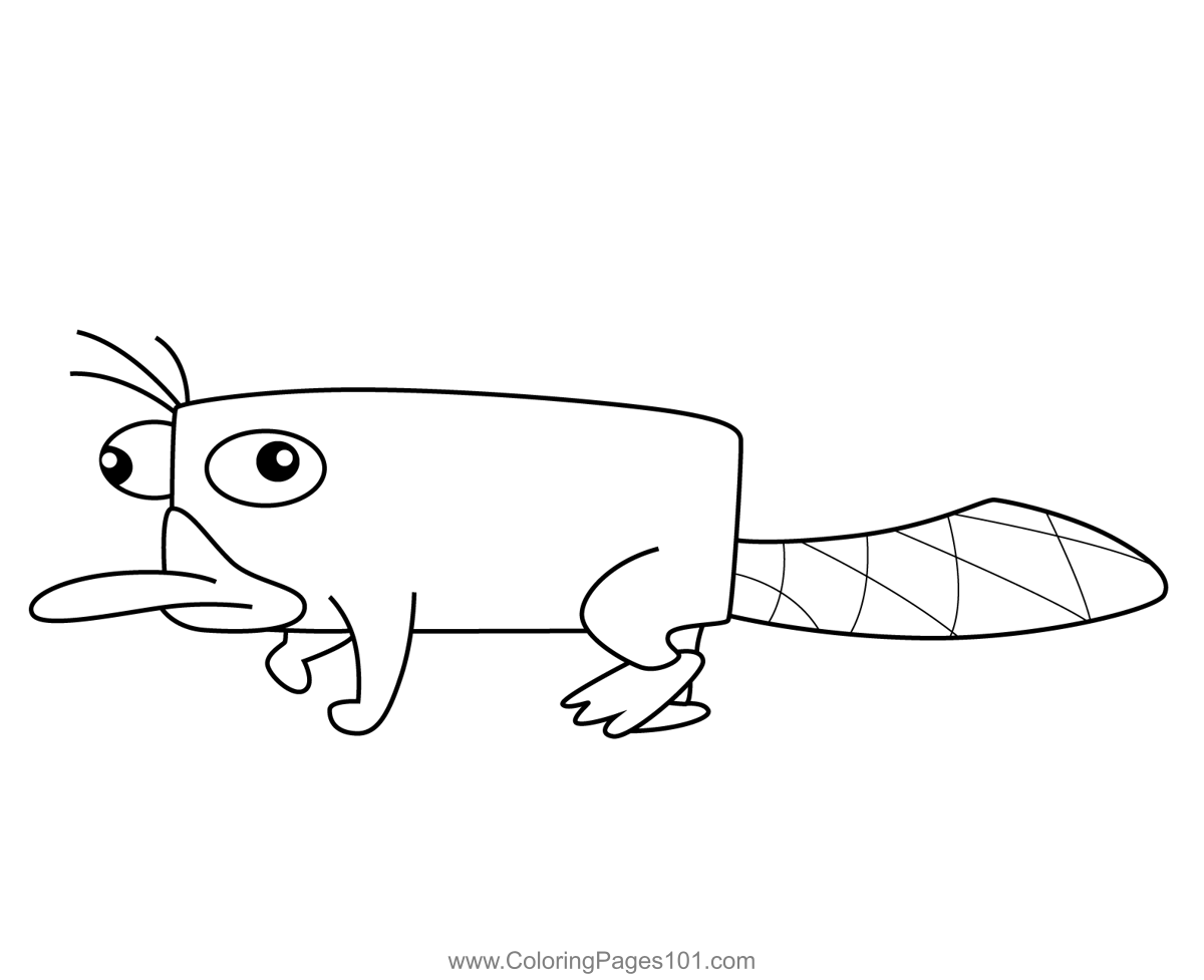 Perry the platypus phineas and ferb coloring page perry the platypus coloring pages phineas and ferb