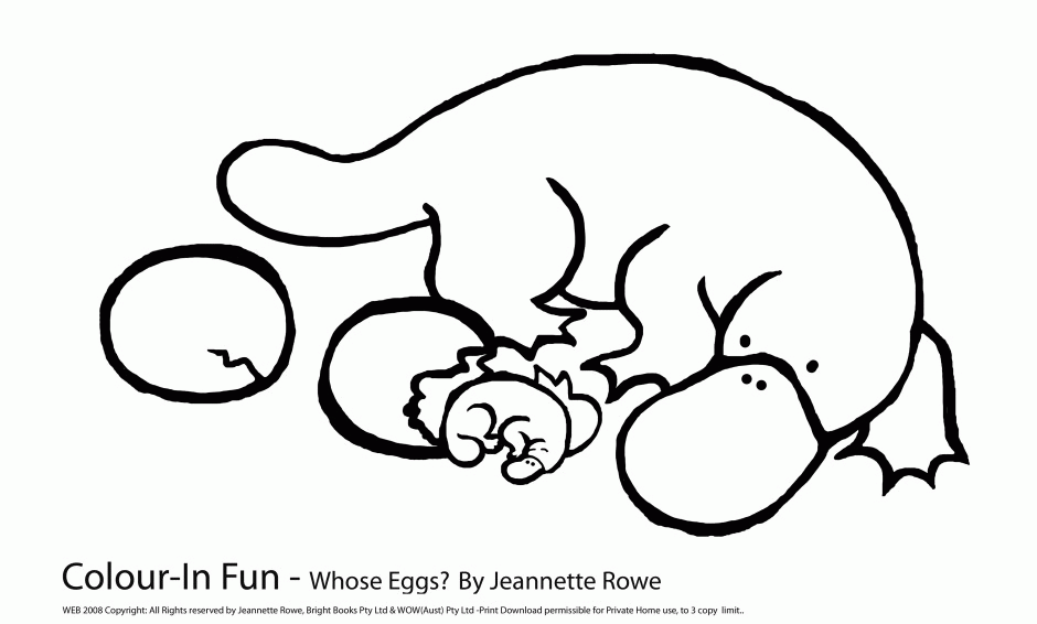 Free platypus pictures for kids download free platypus pictures for kids png images free cliparts on clipart library