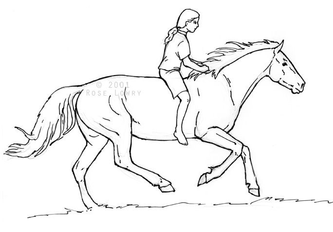 Person riding horse drawings and sketches horse drawings horse sketch horse coloring pages