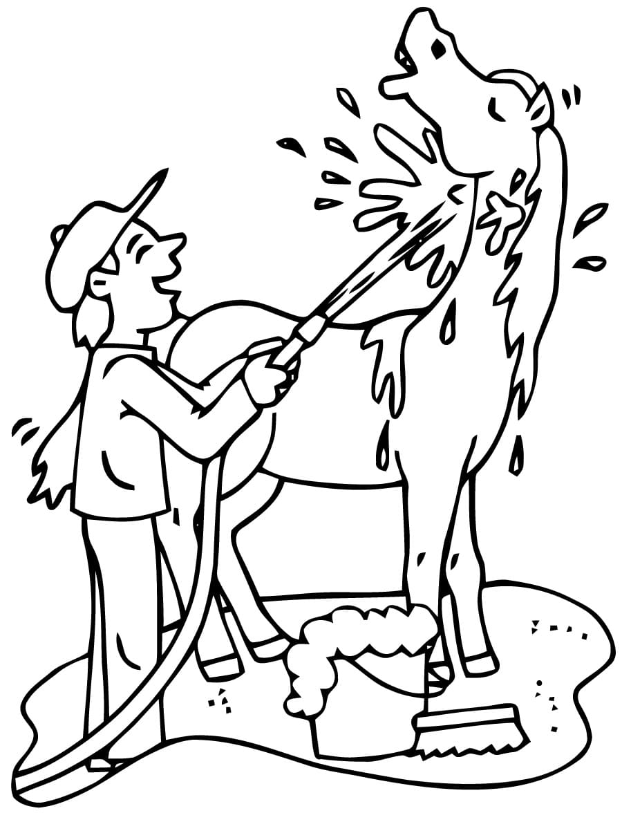 Bathing the horse coloring page