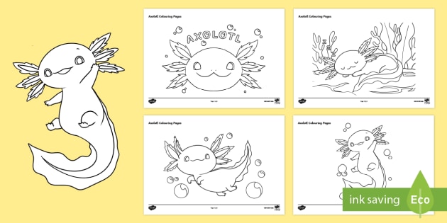 Axolotl colouring pag profor hizo
