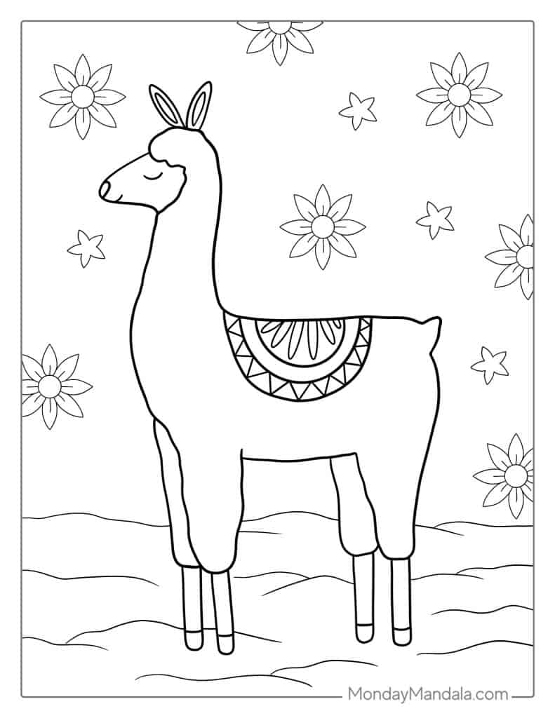 Llama coloring pages free pdf printables