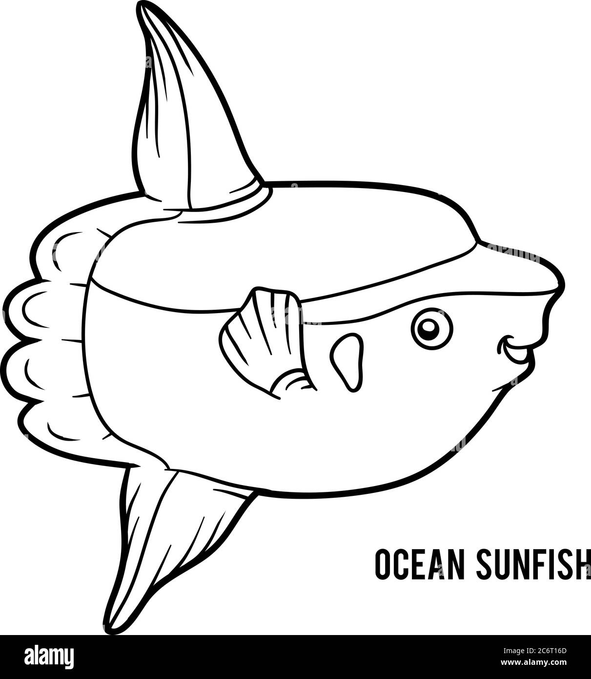 Sunfish black and white stock photos images