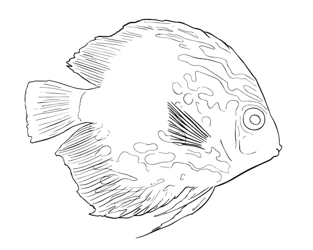Premium vector yellow fish with white spots close up doodle lineart cartoon