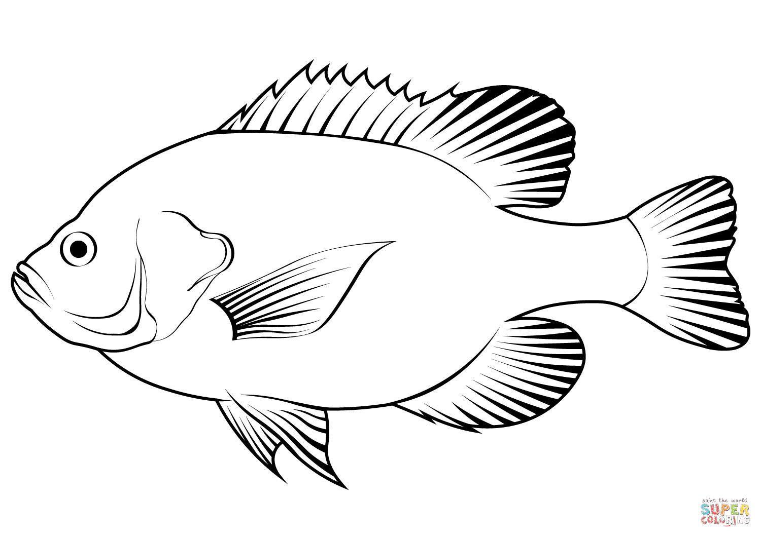 Dibujo de mojarra oreja roja lepomis microlophus para colorear dibujos para colorear imprimir gratis