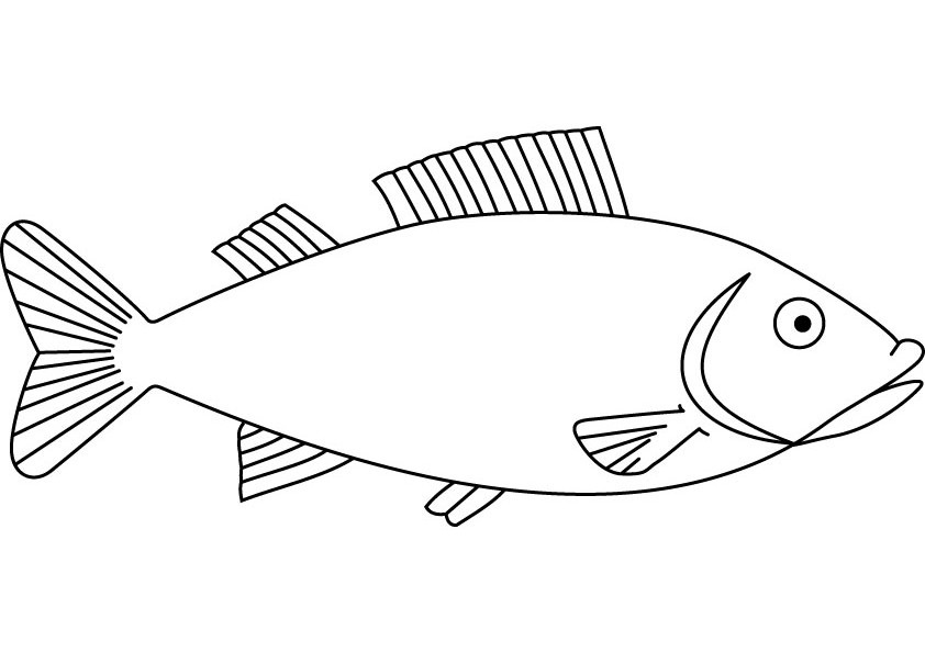 Coloring page fish animals â printable coloring pages