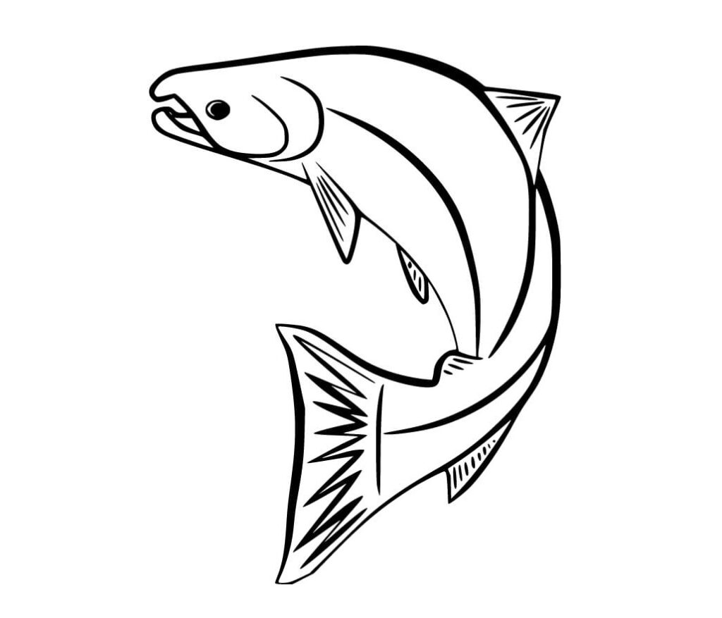 Peces para colorear ð