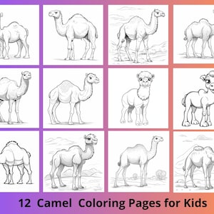 Camel coloring page