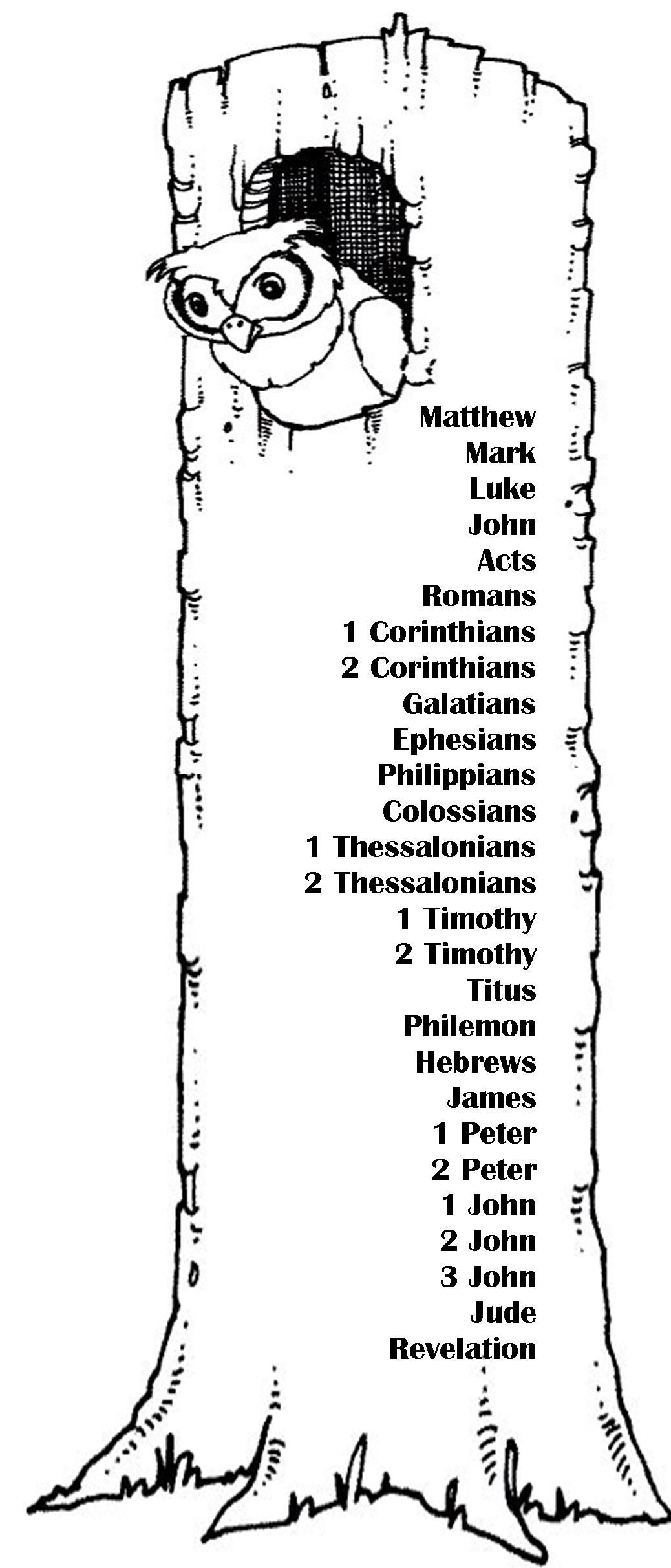 Pin by marion james on coloring pages bible study for kids bible for kids childrens church crafts