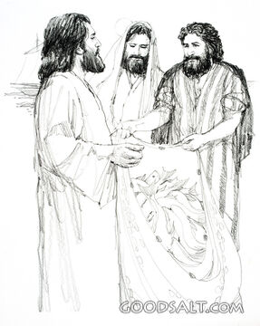 Search results for peter james and john