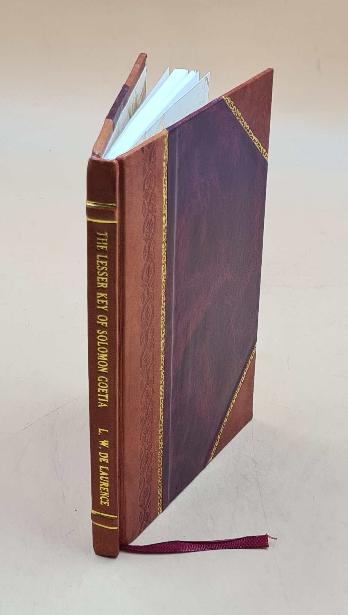 The adventures of peter peterkin by gilly bear leather bound