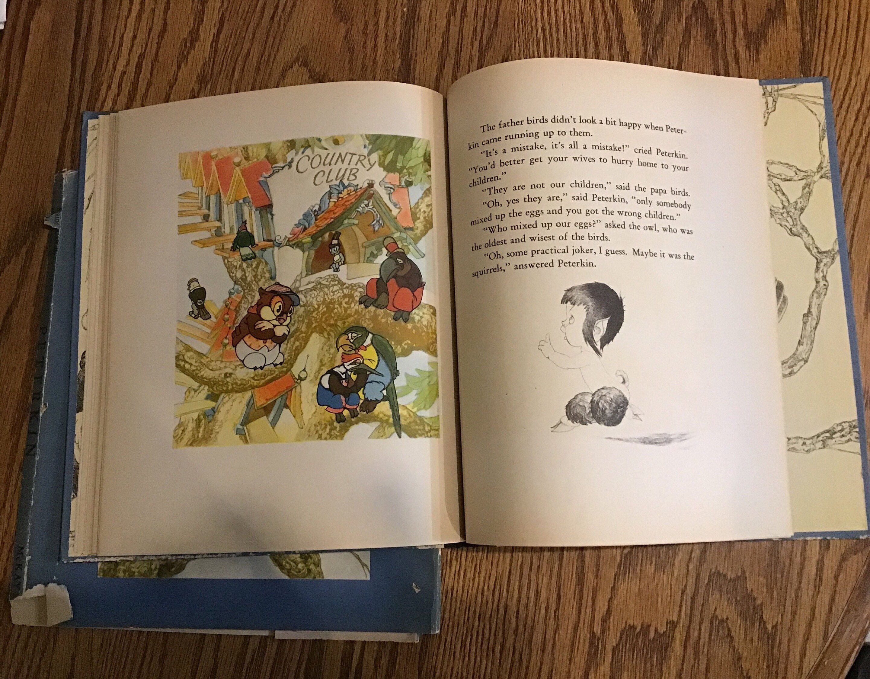 Peterkin by willy pogany and elaine pogany hardcover