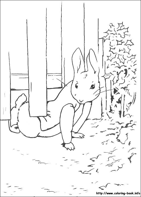 Peter rabbit coloring picture
