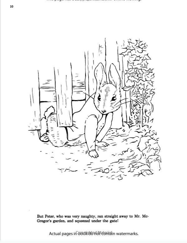 The tale of peter rabbit coloring book st jerome school and library