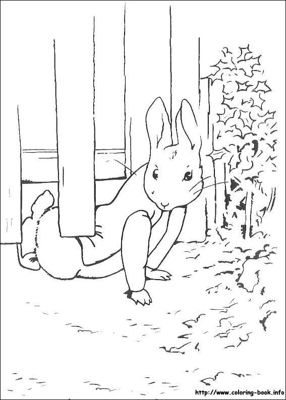 Colouring page peter rabbit and friends beatrix potter illustrations coloring pages