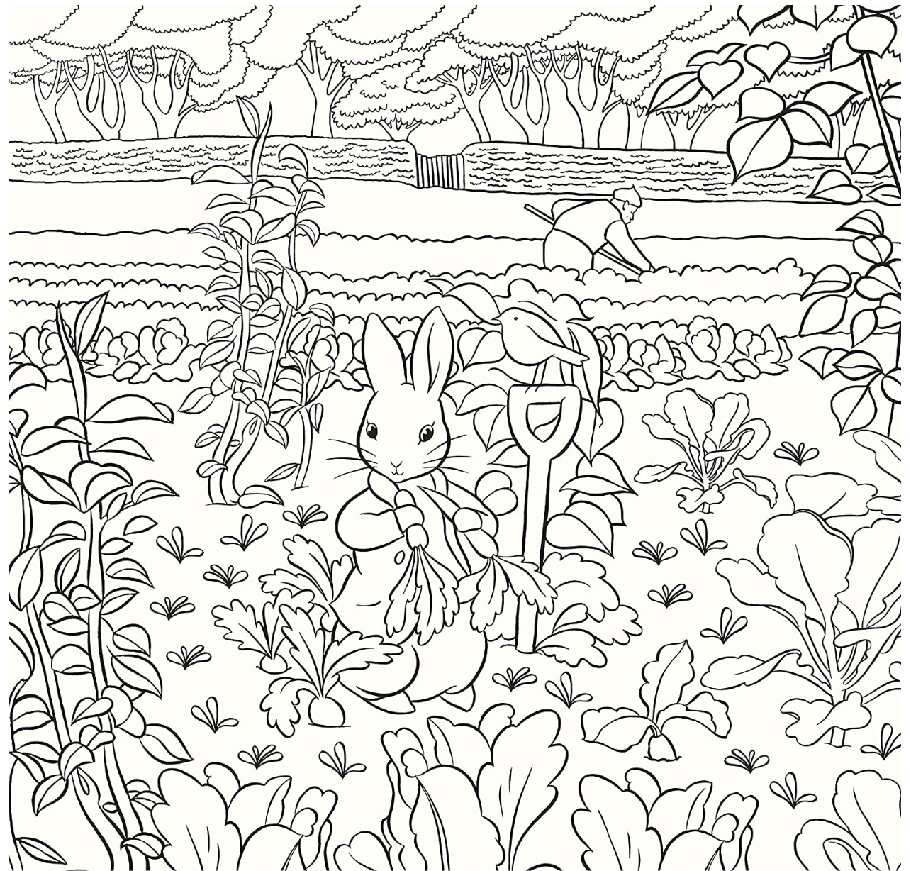 Beatrix potter peter rabbit coloring book